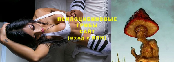 прущий лед Осташков