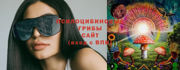 прущий лед Осташков