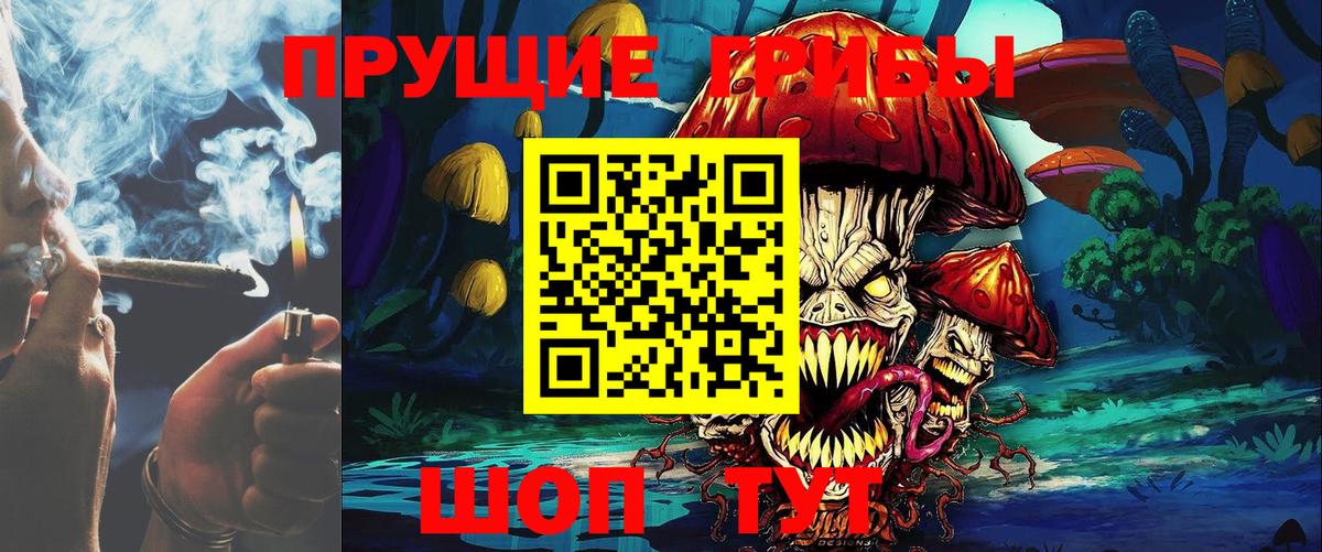 Керчь  Псилоцибиновые грибы Cubensis  Вход с VPN 
